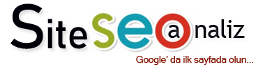 SEO Analiz