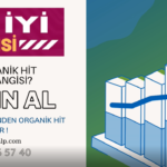 Google Organik Hit Servisi